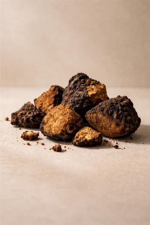 Chaga